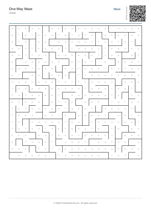 Free printable one-way maze — 20×20, with answer key — PDF download